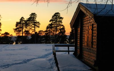 Réussir son Projet de Construction : Témoignages de Propriétaires de Maisons en Bois