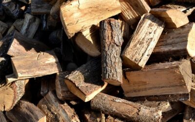 Bois de Chauffage dans l’Oise : Qualité, Livraison et Prix au Meilleur Tarif