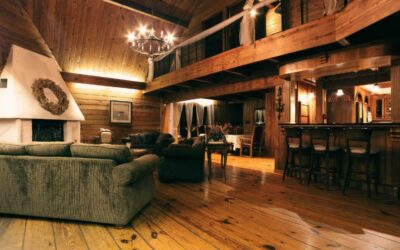 Les Styles Architecturaux Innovants pour les Maisons en Bois : Quand Tradition Rencontre Modernité